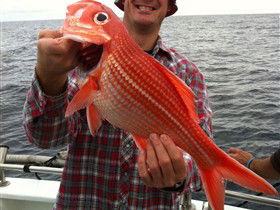 Goin' Off Safaris - Broome Tourism 0