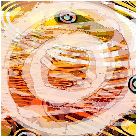 Kingstudio Art & Design Gallery - Broome Tourism 3