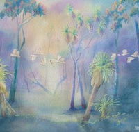 Territory Colours - Broome Tourism