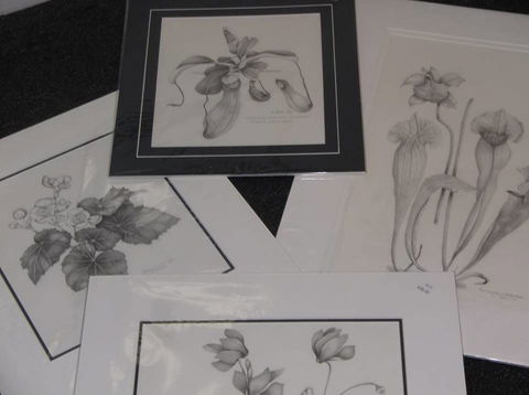 Masterpiece Framing & Gallery - Broome Tourism 2