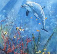 Nadas Fine Art Gallery - Broome Tourism