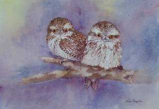 Nada’s Fine Art Gallery - Broome Tourism 1