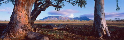 Nissarana Galleries Noosa - Broome Tourism 1