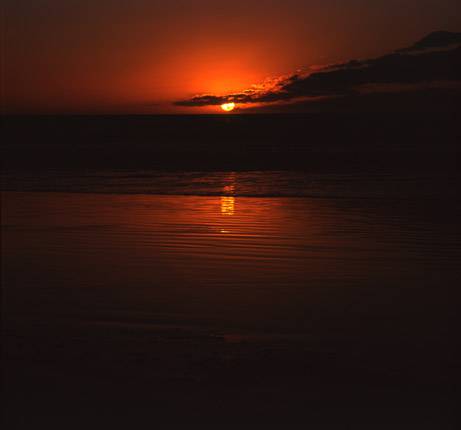 Nissarana Galleries Noosa - Broome Tourism 3