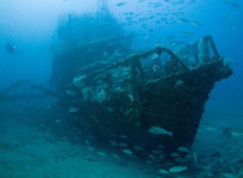 Kirra Dive “On The Tweed” - Broome Tourism 4