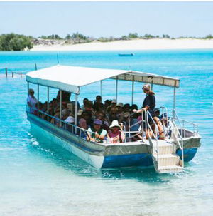 Willie Creek Pearl Farm