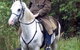 AAA Horse Riding & More - thumb 0
