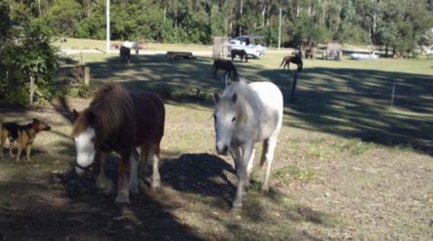 AAA Horse Riding & More - Broome Tourism 2