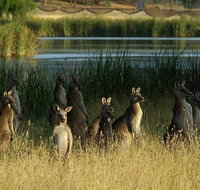 Canberra - The National Capital  Full Day Private Tour  Departs from Sydney - Broome Tourism