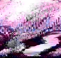 Pink Forest - Boardwalk Bar 4.00-6.00pm - Broome Tourism