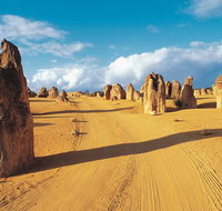 Pinnacles Desert Koalas and Sandboarding 4WD Day Tour from Perth - Broome Tourism