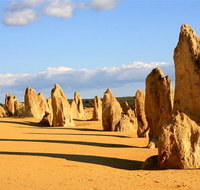 Pinnacles and Yanchep National Park Day Trip from Perth Including Lobster Shack Lunch and Sandboarding - Broome Tourism