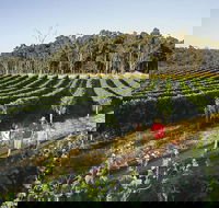 Margaret River Caves Wine and Cape Leeuwin Lighthouse Tour from Perth - Broome Tourism