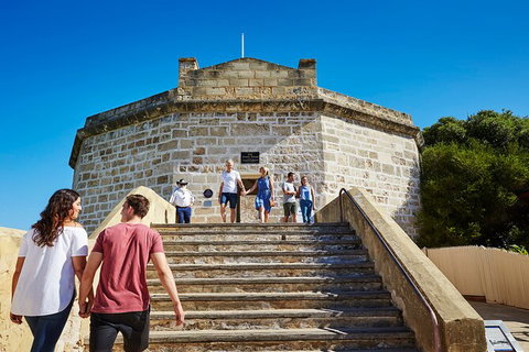 Full-Day Penguin Island & Fremantle Town - Broome Tourism 4