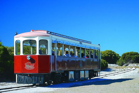 Rottnest Island Grand Tour Including Lunch And Historical Train Ride - Broome Tourism 1