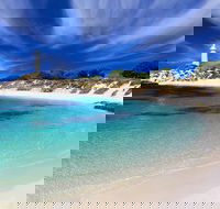 Rottnest Island Grand Tour Including Lunch and Historical Train Ride - Broome Tourism
