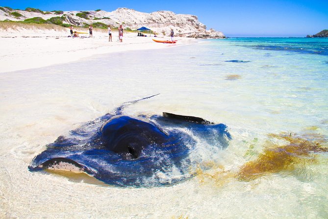 Margaret River WA Broome Tourism