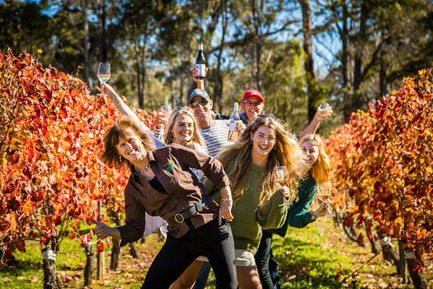 Margaret River Winery And Brewery Day Trip, Plus Gourmet Winery Lunch - Broome Tourism 4