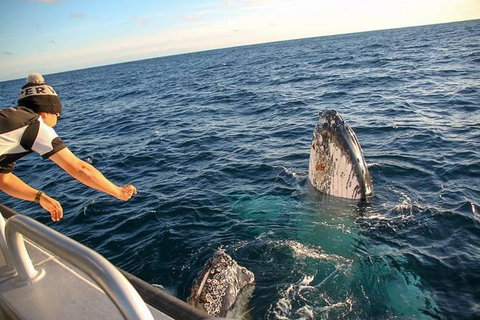 Dunsborough Whale Watching Eco Tour - Broome Tourism 5