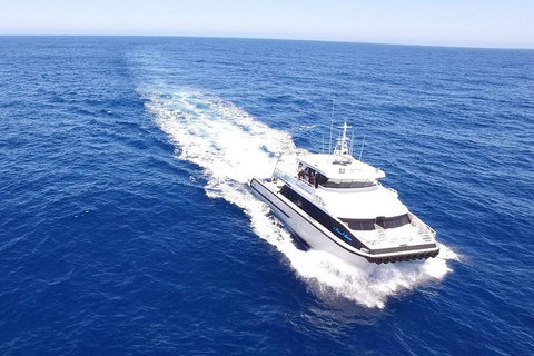 Dunsborough Whale Watching Eco Tour - Broome Tourism 8