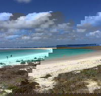 Abrolhos Island Half Day Fly and Flipper - Broome Tourism