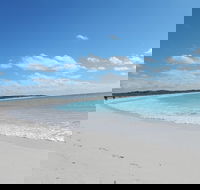 Shipwreck Special Nature Tour/Half Day Tour - Broome Tourism