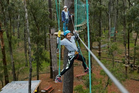Busselton High Ropes And Zipline Adventure - Broome Tourism 0