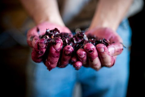Cape Mentelle Behind The Scenes Tour With Food & Wine Pairing - Broome Tourism 7
