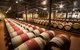 Private Wine Tasting In Barrel Hall - thumb 1