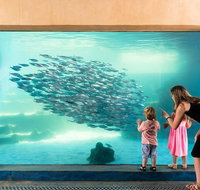 AQWA The Aquarium of Western Australia General Admission - Broome Tourism