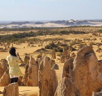 Full-Day Pinnacles Sandboarding and Yanchep National Park from Perth - Broome Tourism