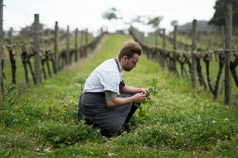 Vasse Felix Epicurean Tour And Tasting Experience With 5 Course Lunch - Broome Tourism 9