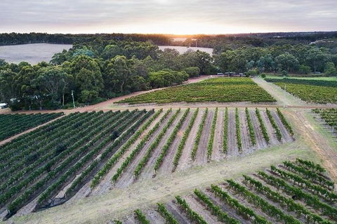 Vasse Felix Epicurean Tour And Tasting Experience With 5 Course Lunch - Broome Tourism 7