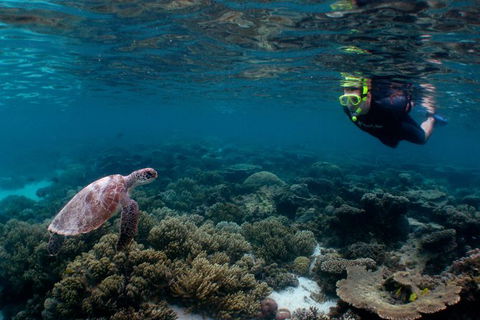 3 Night Ningaloo Reef Snorkel And Dive Getaway From Coral Bay - Broome Tourism 0