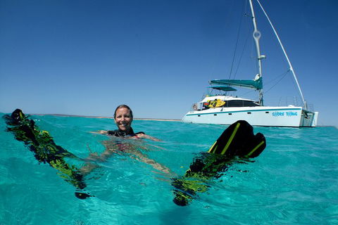 3 Night Ningaloo Reef Snorkel And Dive Getaway From Coral Bay - Broome Tourism 1