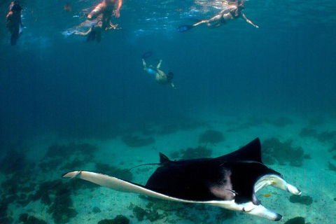 3 Night Ningaloo Reef Snorkel And Dive Getaway From Coral Bay - Broome Tourism 6
