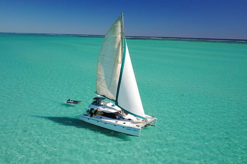 3 Night Ningaloo Reef Snorkel And Dive Getaway From Coral Bay - Broome Tourism 4