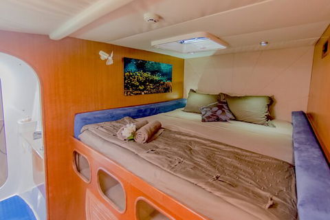 3 Night Ningaloo Reef Snorkel And Dive Getaway From Coral Bay - Broome Tourism 8