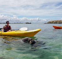 Seal Island and Penguin Island or Point Peron Sea Kayak Tour - Broome Tourism