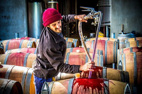 Margaret River Wine Adventure - The Tour For People Who Don\'t Do Tours! - Broome Tourism 20