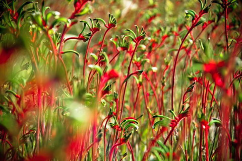 Margaret River Wine Adventure - The Tour For People Who Don\'t Do Tours! - Broome Tourism 28