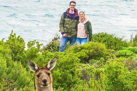 Margaret River Wine Adventure - The Tour For People Who Don\'t Do Tours! - Broome Tourism 3