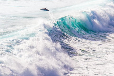 Margaret River Wine Adventure - The Tour For People Who Don\'t Do Tours! - Broome Tourism 29