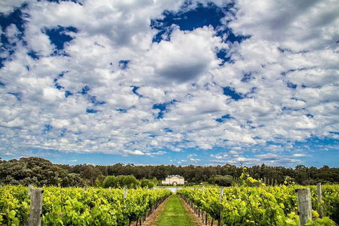 Margaret River Wine Adventure - The Tour For People Who Don\'t Do Tours! - Broome Tourism 14