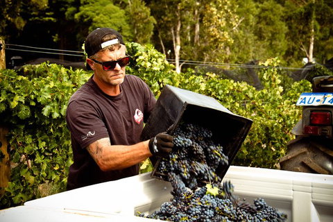 Margaret River Wine Adventure - The Tour For People Who Don\'t Do Tours! - Broome Tourism 26