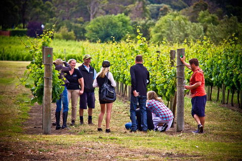 Margaret River Wine Adventure - The Tour For People Who Don\'t Do Tours! - Broome Tourism 27