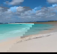 Pink Lake and Abrolhos Full Day Fly and Flipper - Broome Tourism