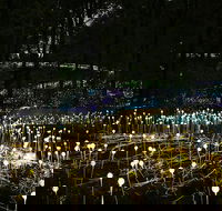 National Anzac Centre Field of Light Panorama Pass - Broome Tourism