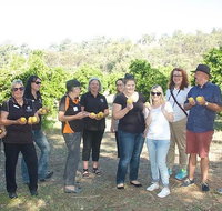 Chittering Valley Back To Nature Tour - Broome Tourism
