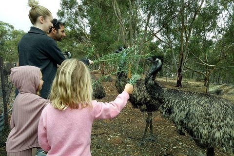 Full-Day Nature Tour From Perth - Broome Tourism 0